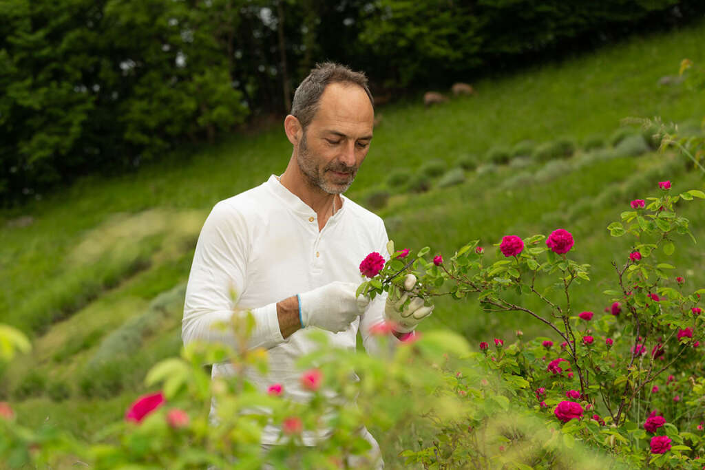 Alchimia DoctorB Mariano